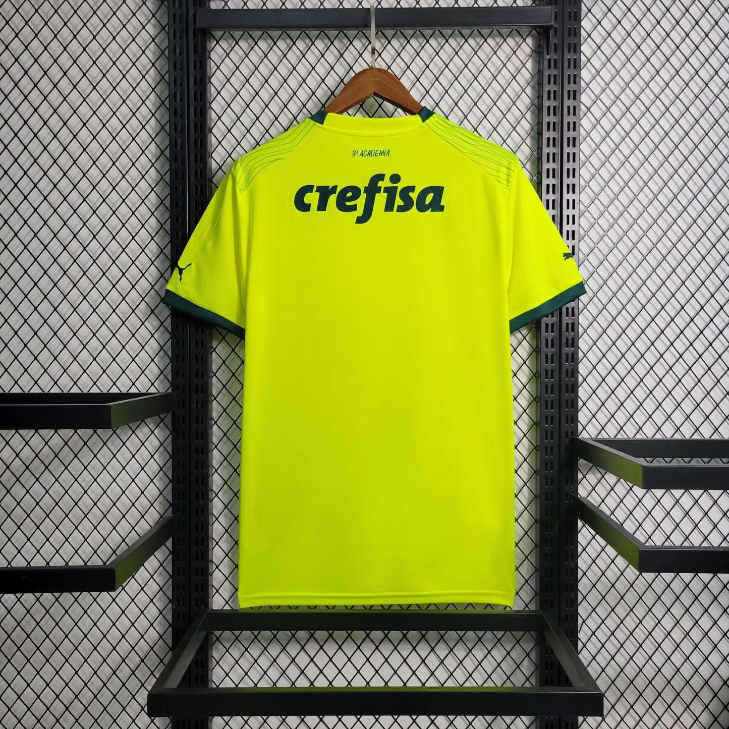 Camisa Palmeiras 23/24 - Versão Torcedor