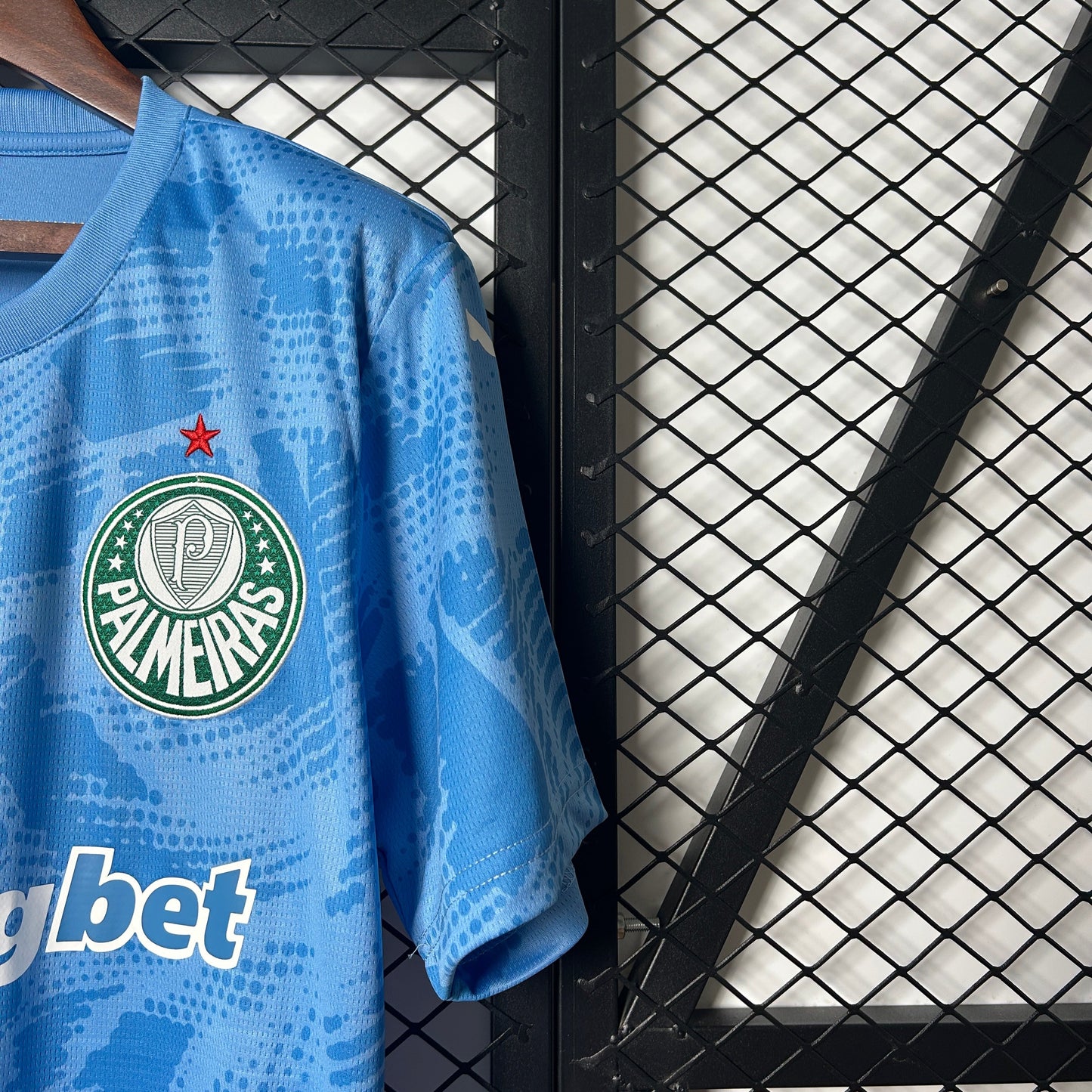 Camisa Palmeiras Goleiro 25/26 - Versão Torcedor