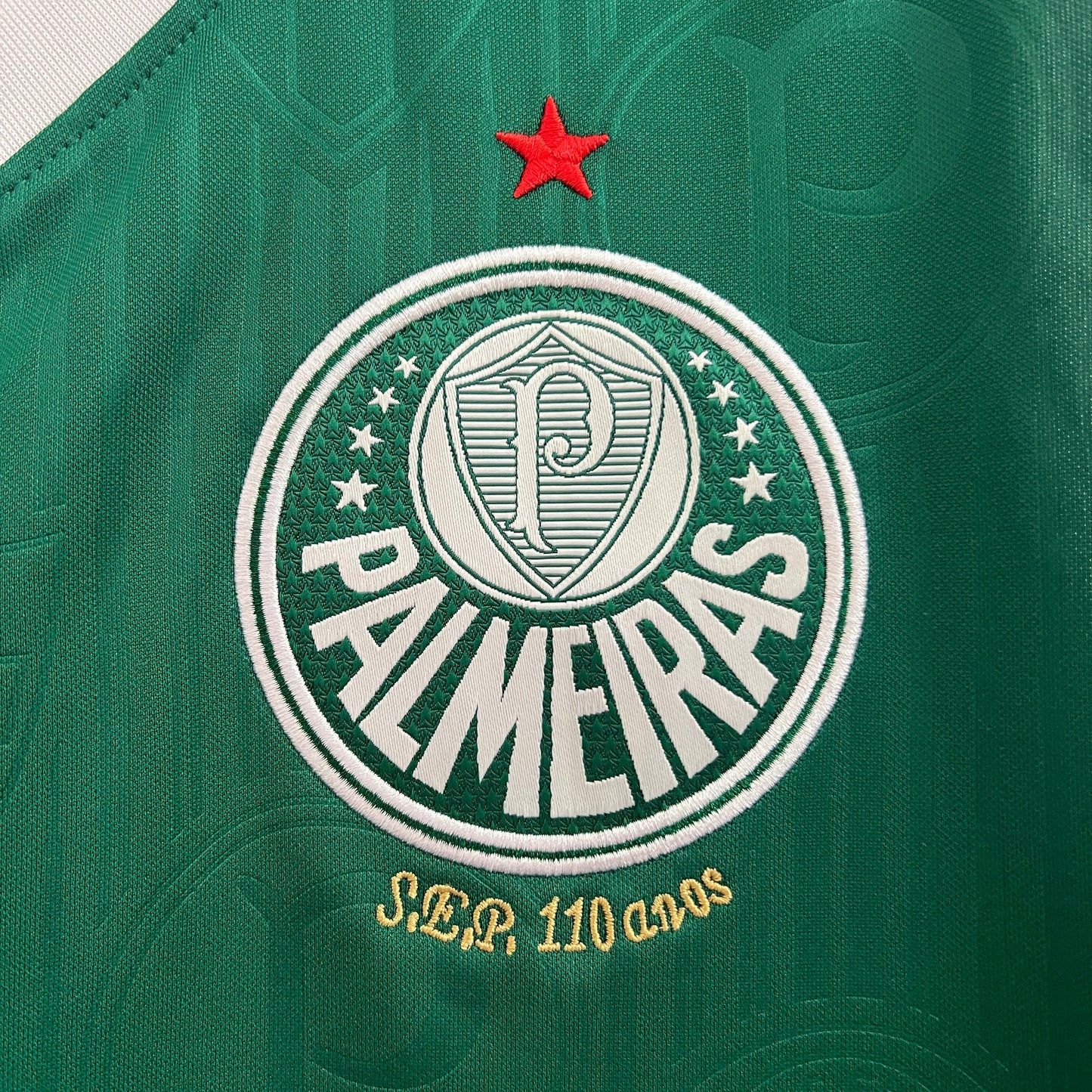 Regata Palmeiras Titular 24/25 - Versão Torcedor