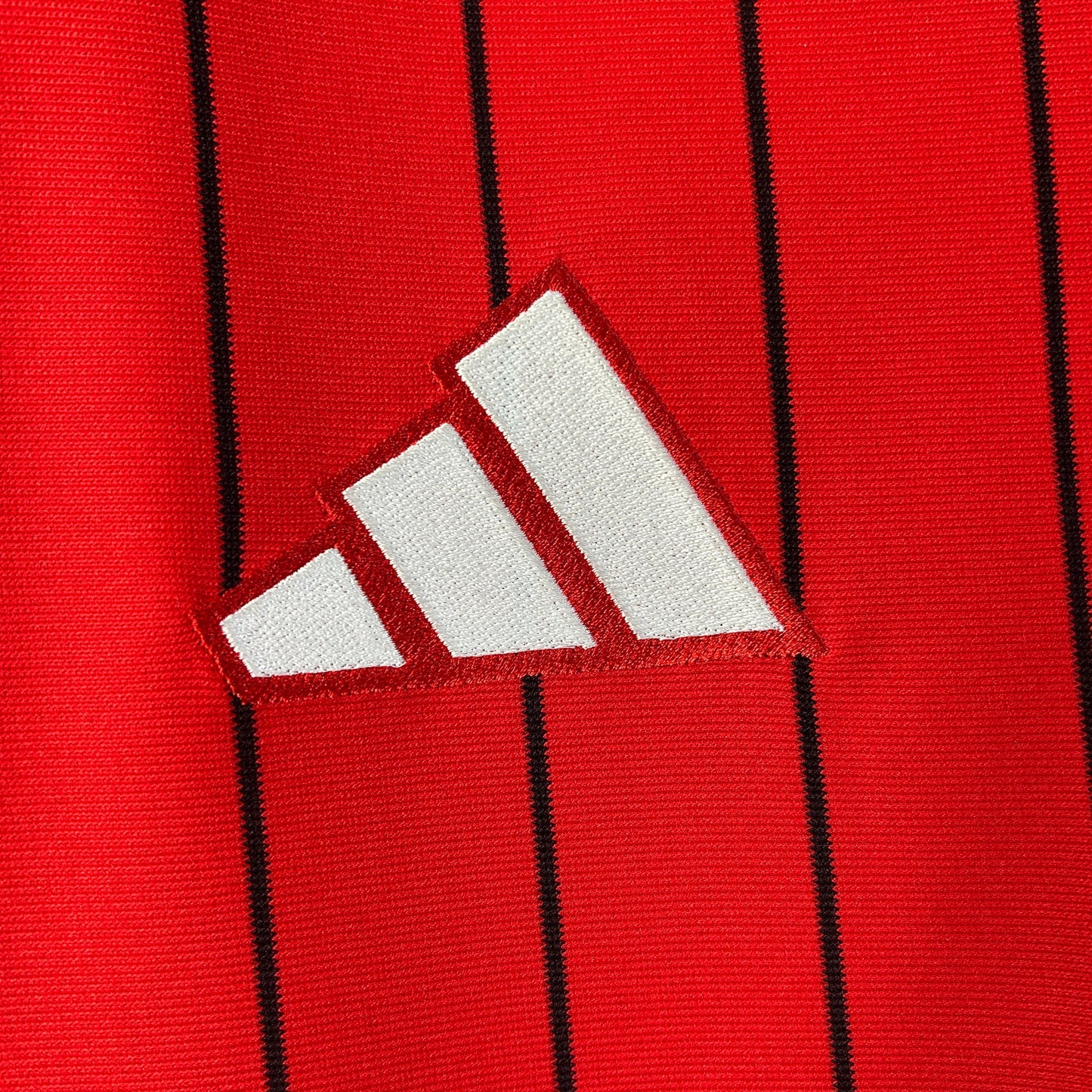 Camisa Flamengo Edição Especial 25/26  - Versão Torcedor