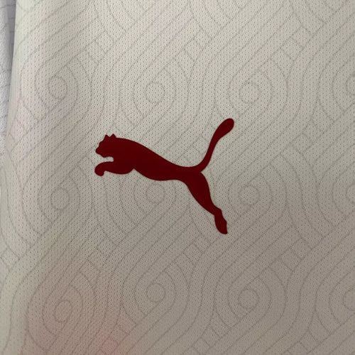 Camisa Galatasaray 2024/25 II