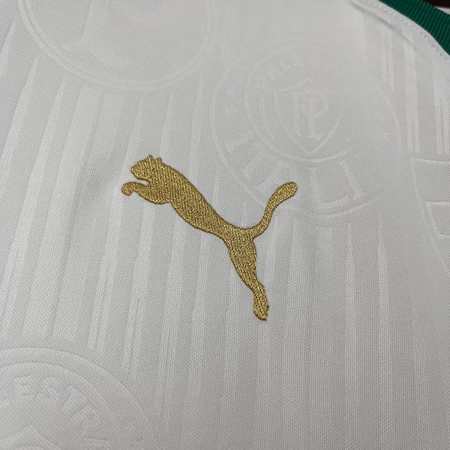 Camisa Palmeiras 24/25 - Versão Torcedor