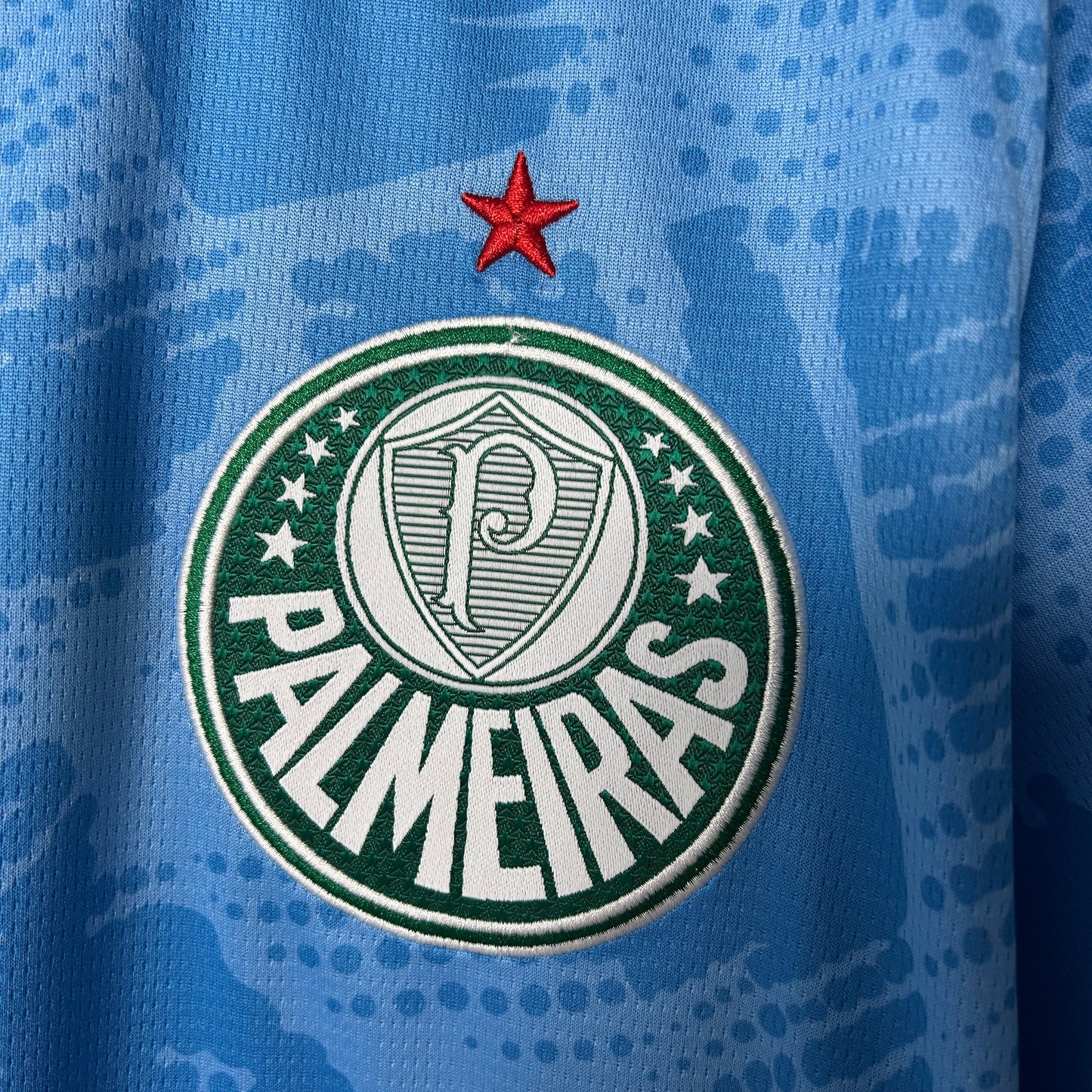 Camisa Palmeiras Goleiro 25/26 - Versão Torcedor