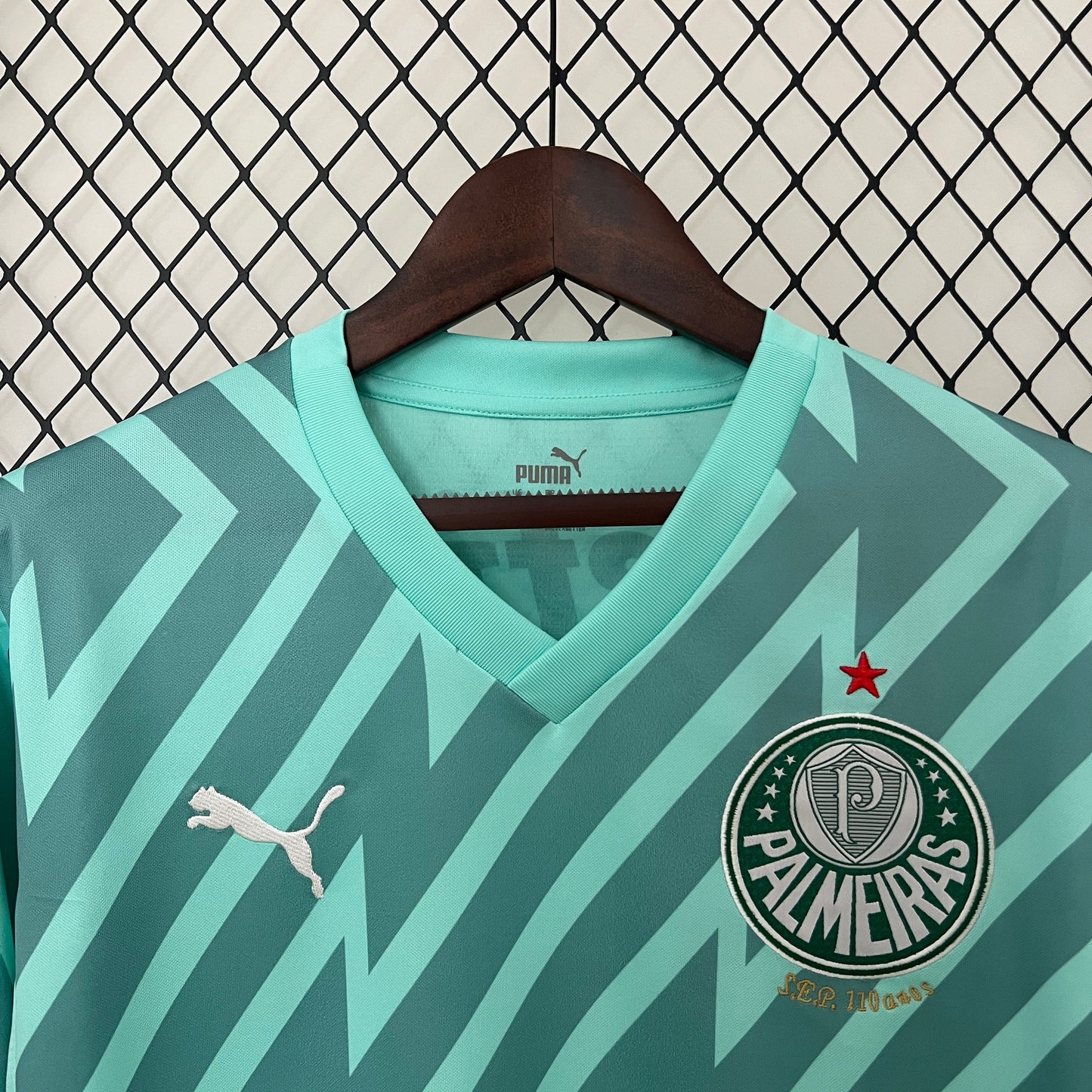Camisa Palmeiras Goleiro 24/25 - Versão Torcedor