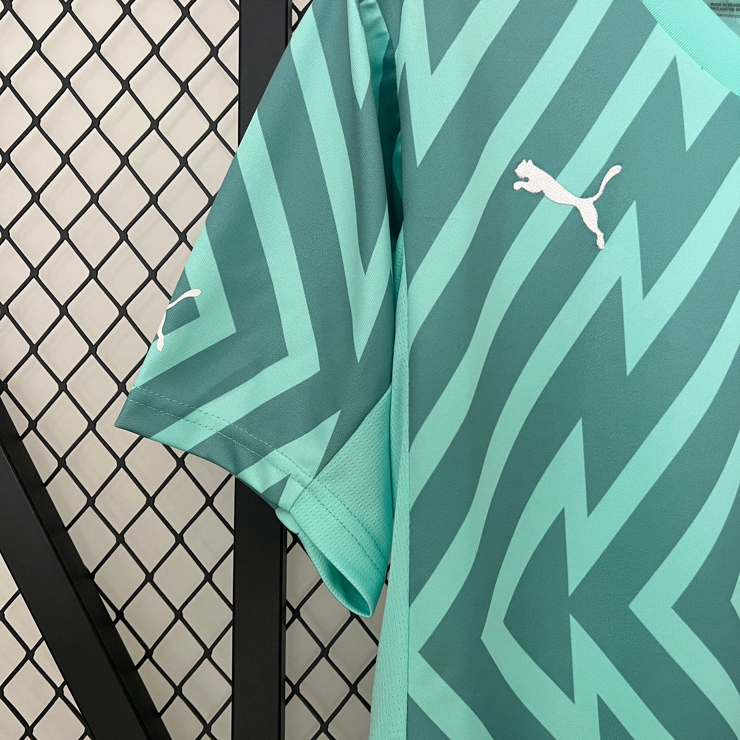 Camisa Palmeiras Goleiro 24/25 - Versão Torcedor