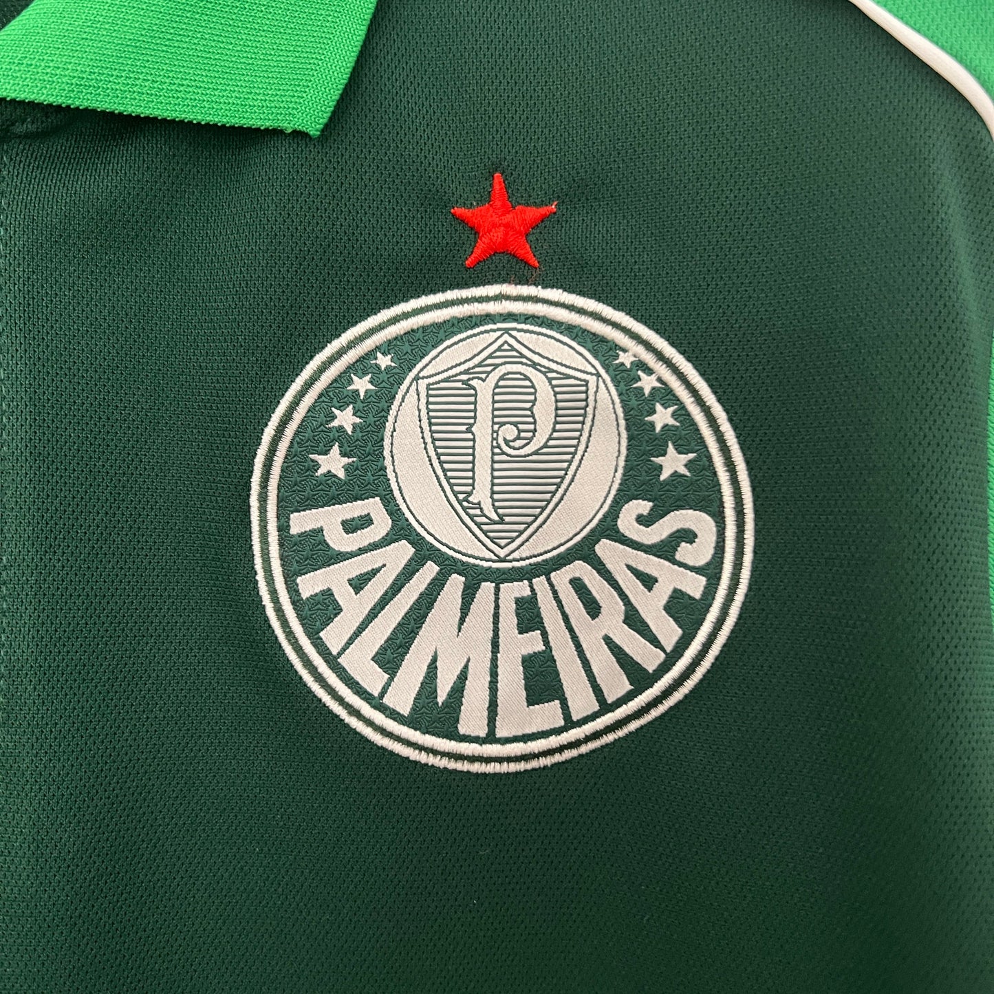 Camisa Palmeiras Polo 24/25 - Versão Torcedor