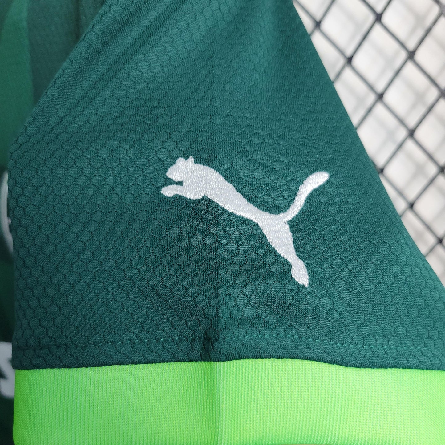 Kit Infantil Palmeiras Titular 23/24 - Boutique do Boleiro