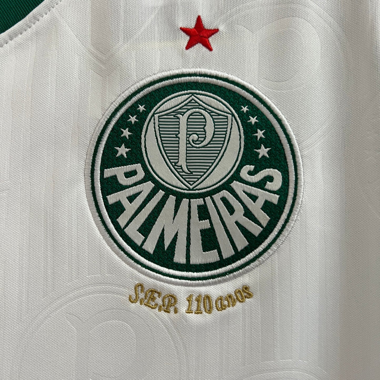 Regata Palmeiras Reserva 24/25 - Versão Torcedor