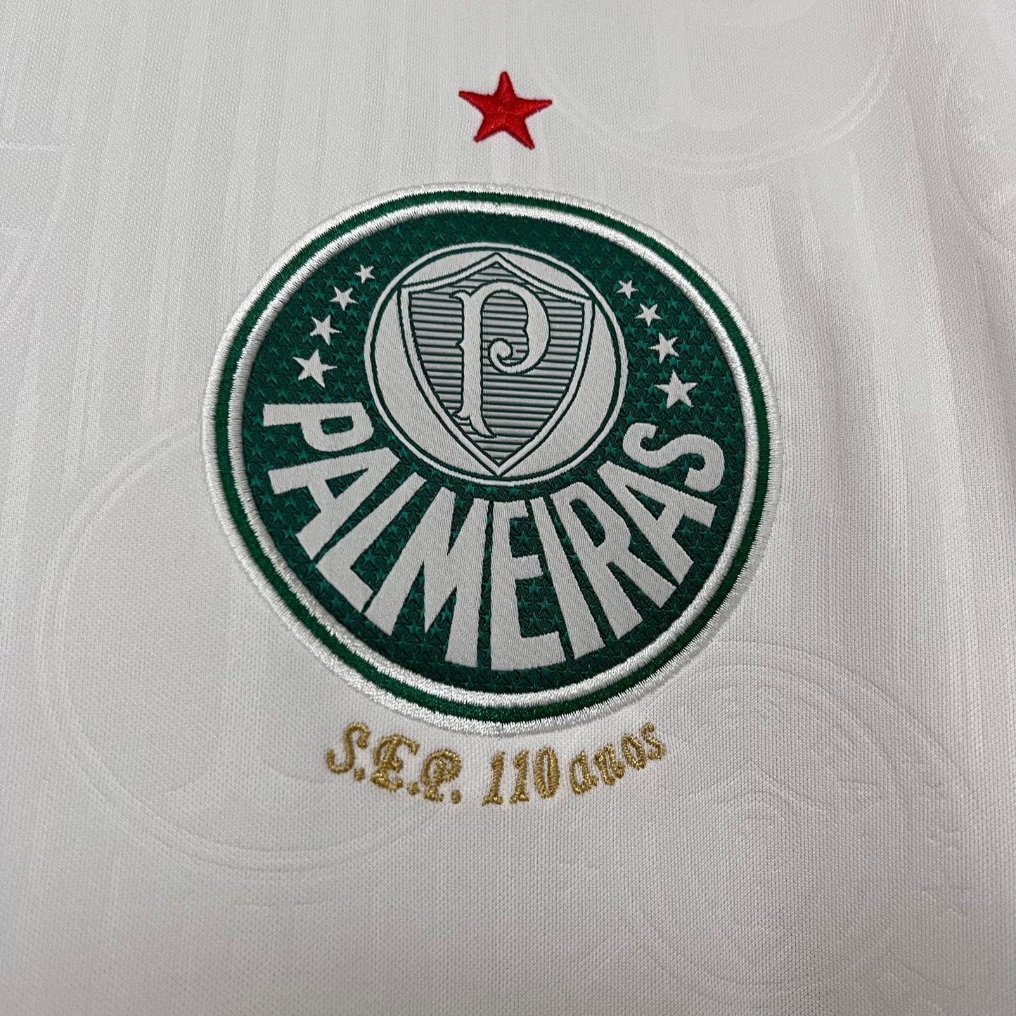 Camisa Palmeiras 24/25 - Versão Torcedor