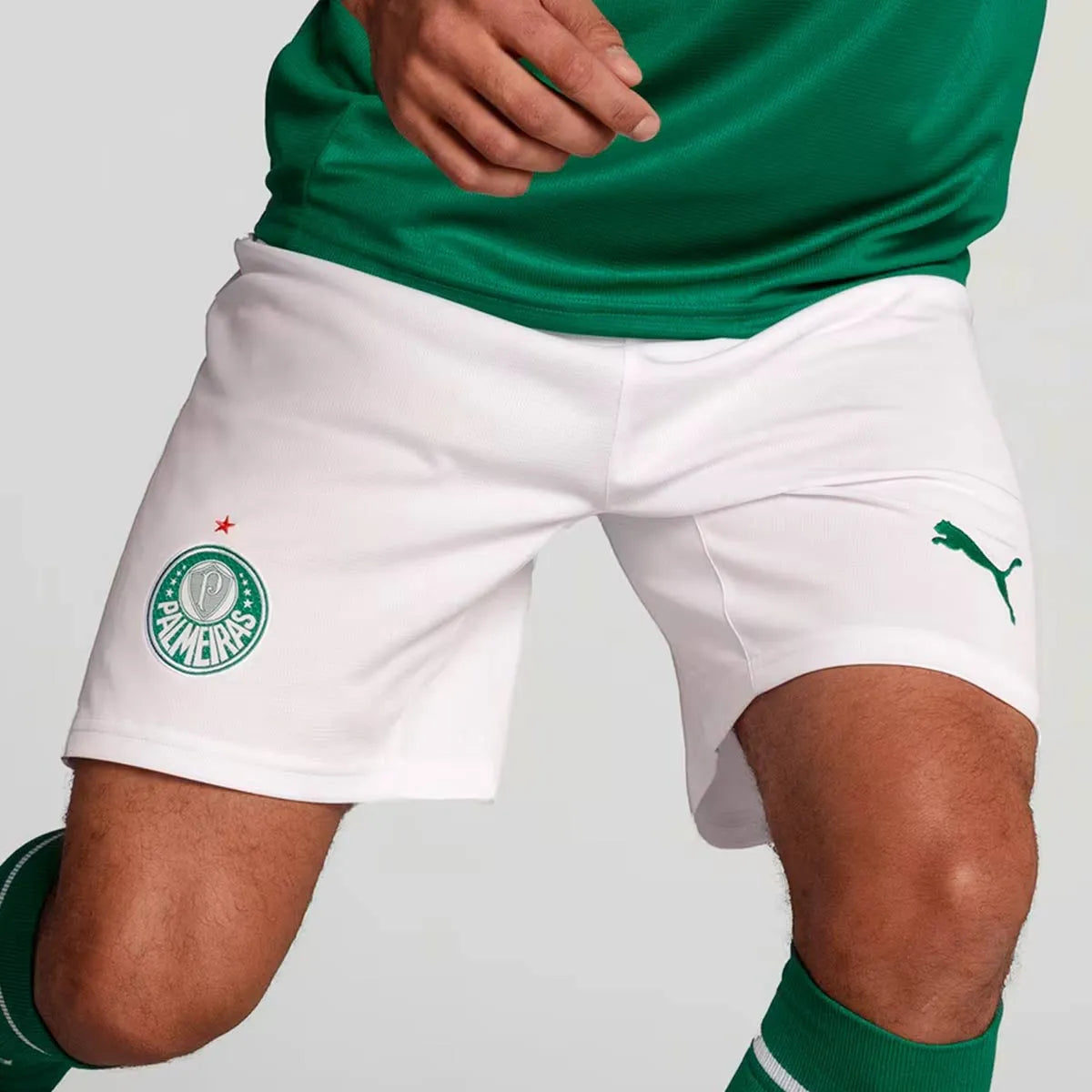 Calção Puma Palmeiras I 2025