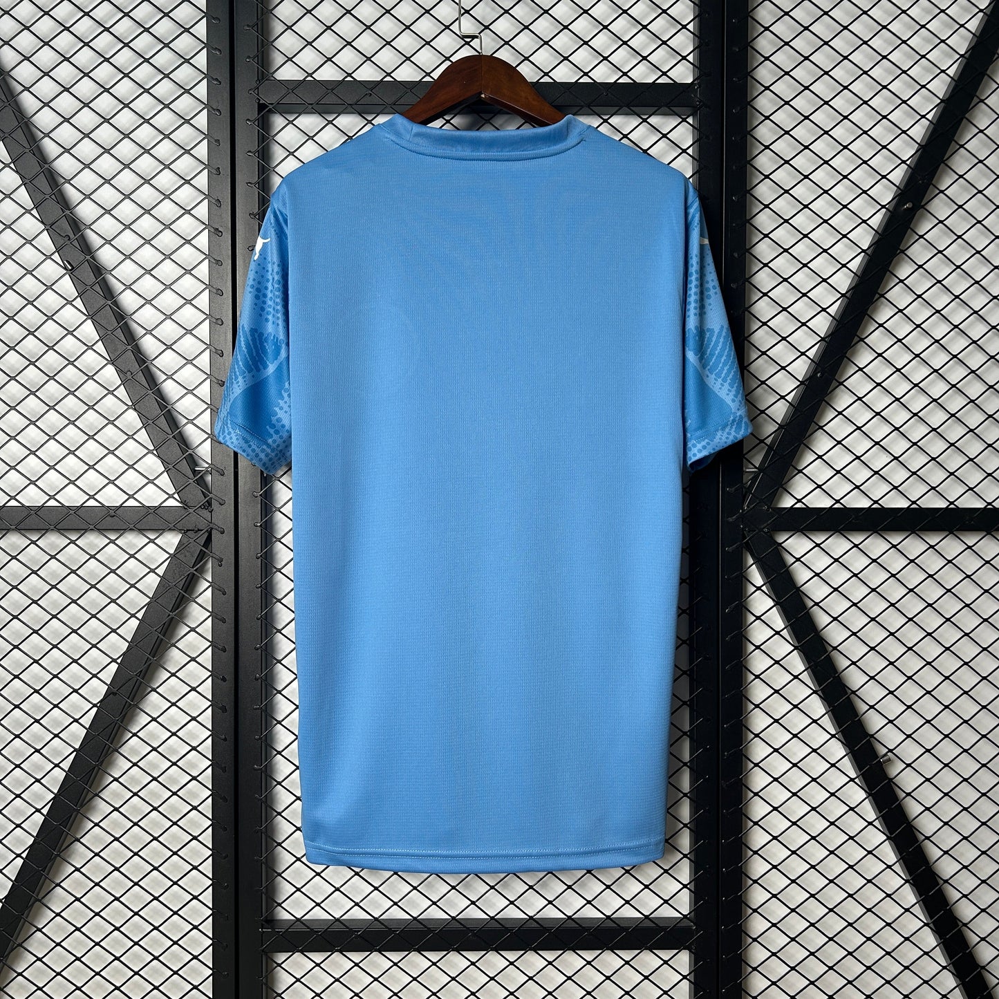 Camisa Palmeiras Goleiro 25/26 - Versão Torcedor