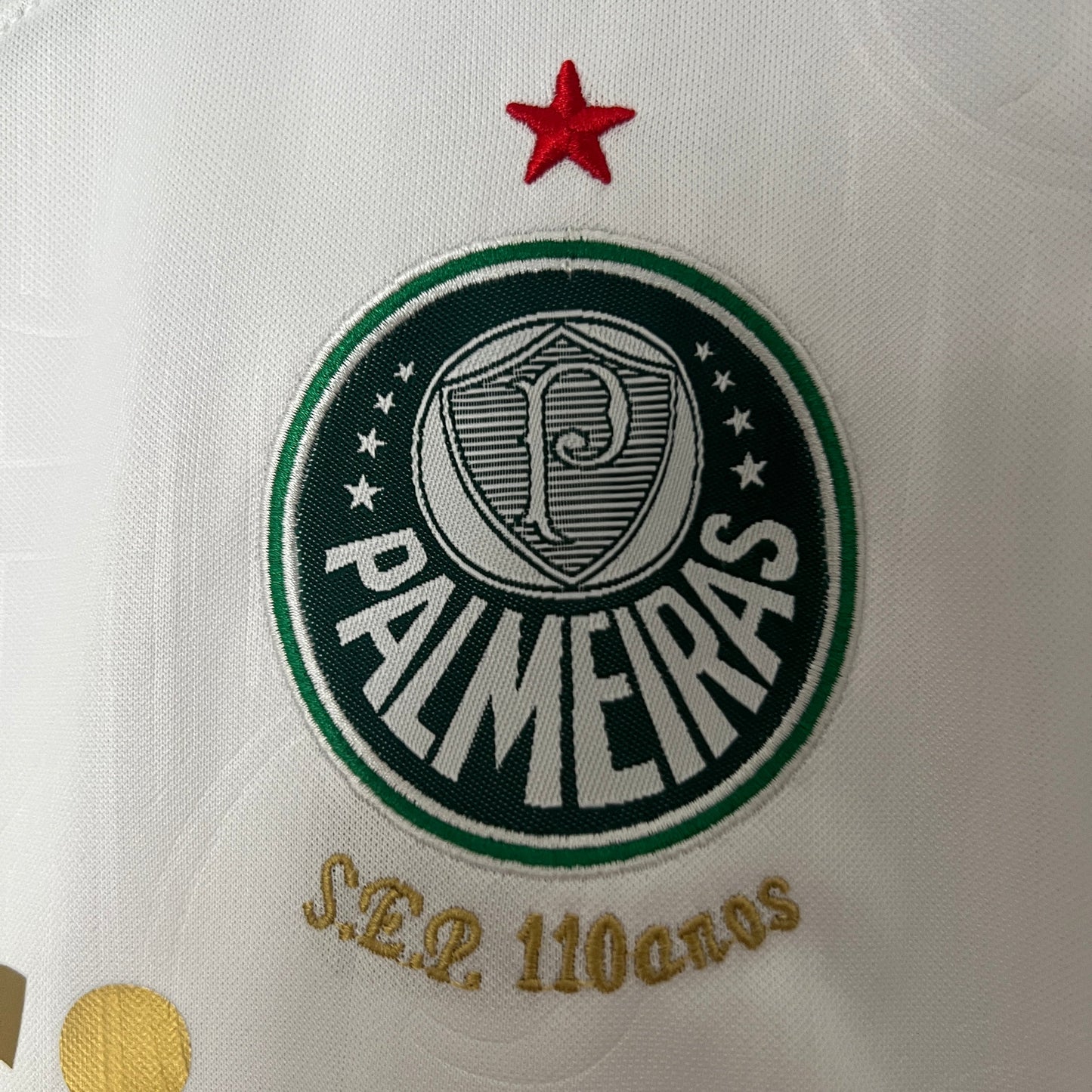 Kit Infantil Palmeiras Reserva  24/25